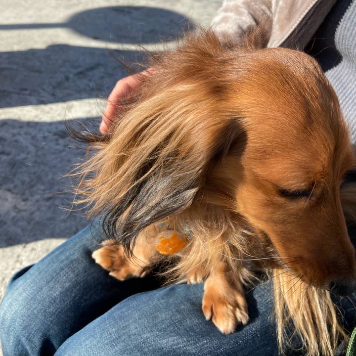 B073b97d 67df 4b8b 9d15 ba99efc9b2ee 1641350842096