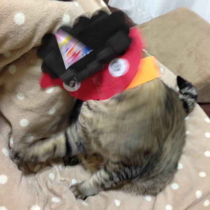 B074570a f5b8 45f1 91e7 25e5374b444a 1593579285285