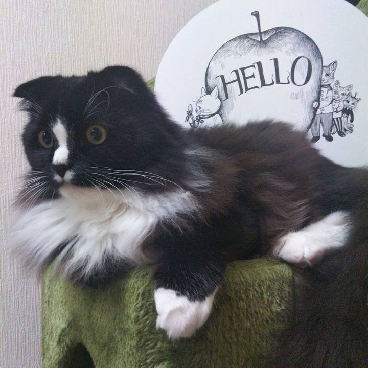 B074b1ca bb27 4392 88bd cf4eb230bf89 1655197723911