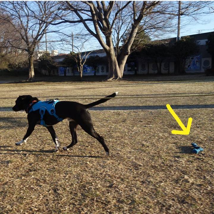 B074ba4b f2a4 4fa3 8291 d389e15f46d1 1613519533728