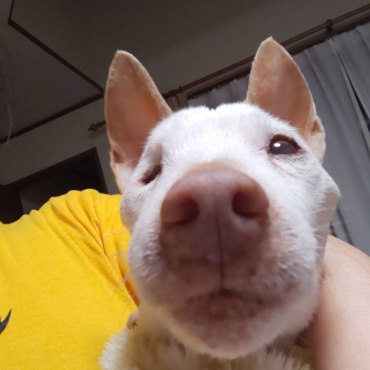 B075539e 27d4 46a2 a11b ddad7d38923f 1590518087157