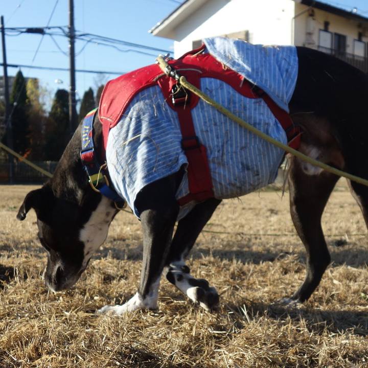 B0756940 4b83 4347 96cb 848e9cf7e145 1671153722764