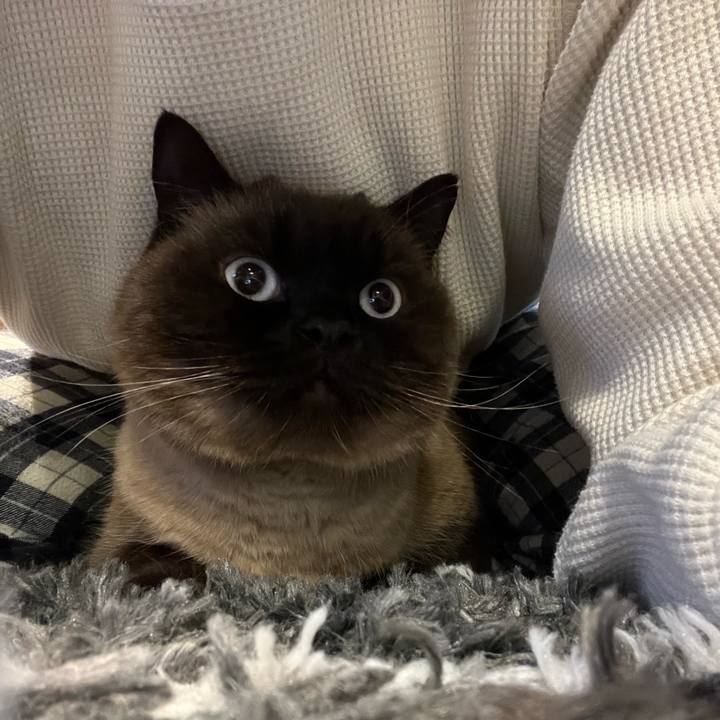 B07571dd 9f49 4565 87cc e43328848749 1679706461117