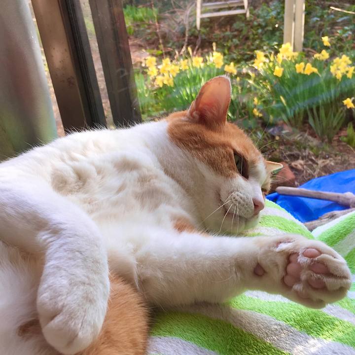 B0757519 d685 4af3 8885 d737452e0a19 1617001313371