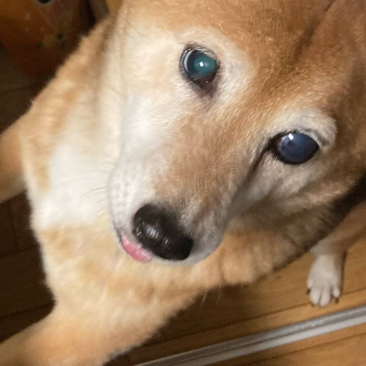 B0758c77 754e 470c a346 b095e889dcb1 1634026697041