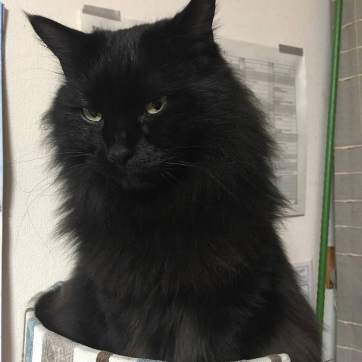 B075afcb 500d 422b 901f b80a0642b193 1544605558477