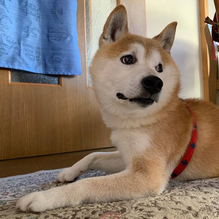 B0761569 bf74 49f3 8798 b2357c1f7026 1686222201394