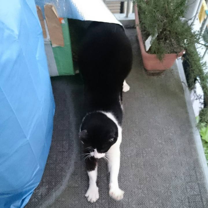 B076262f 7b31 41dc 84d5 27ccbfae85ba 1511343404478