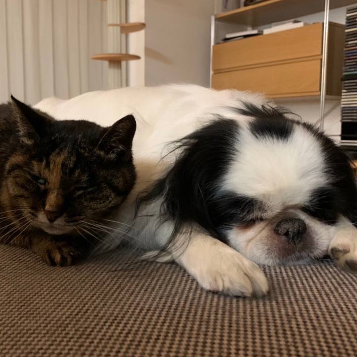 B0764a41 9c5a 4f29 8e03 7a54e8924c72 1585735698524