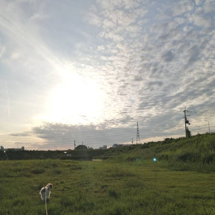 B0765038 8471 4687 96fd b7fb0ca79b46 1566818288703