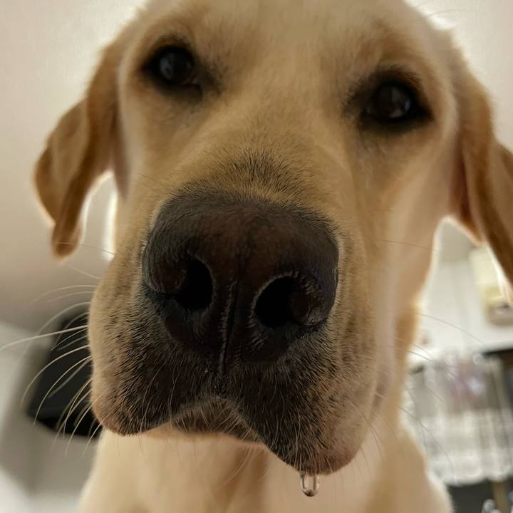 B0769632 5e3c 4925 96eb f5b92ad30b76 1654778123505