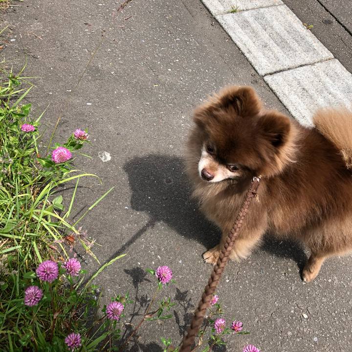 B076d67f 147d 4929 ab6a 649e2fb2179e 1591846345382