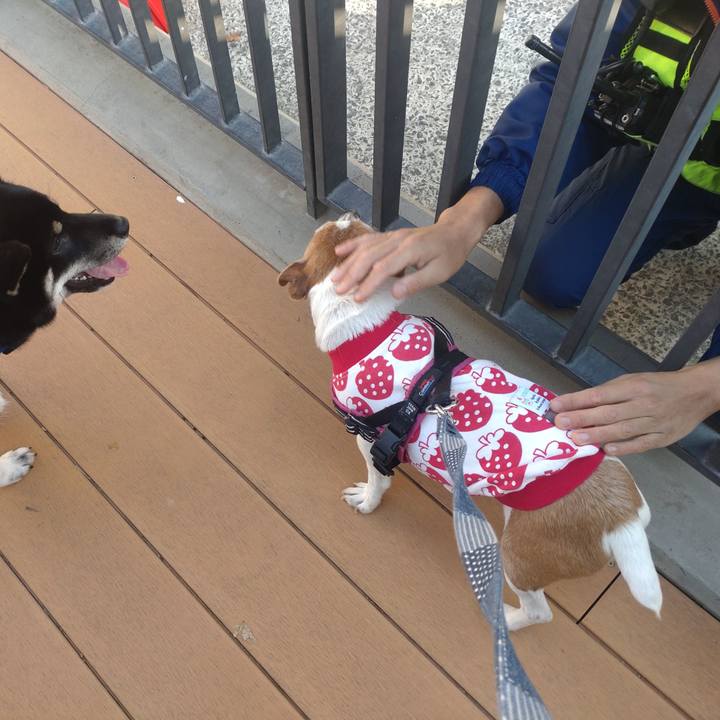 B076db7e 9a7a 4d42 9f0d fb50a84642d9 1771748700001