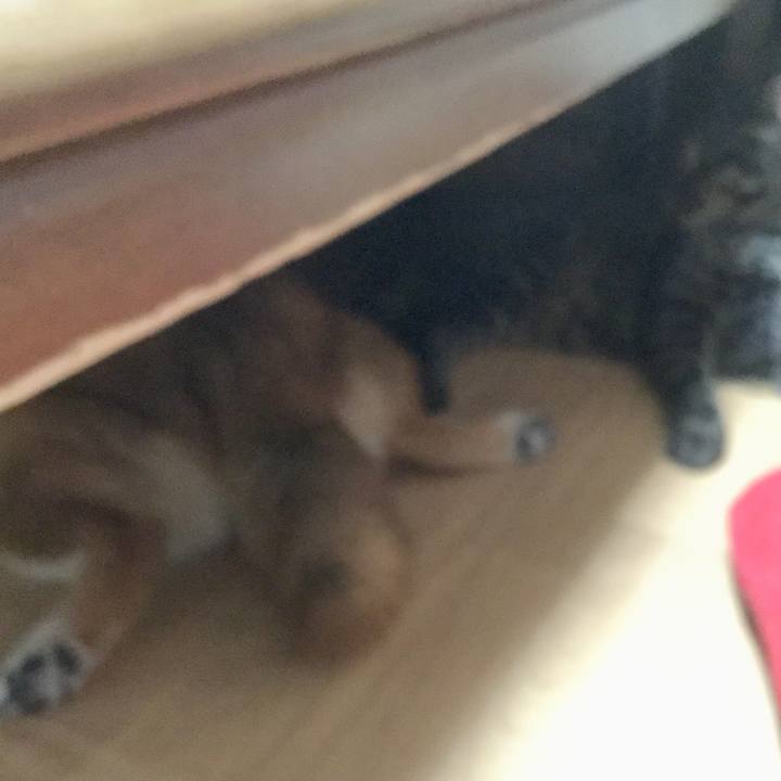 B076ec2d 0df8 47ee 9937 7199ea1fe81c 1591793674606