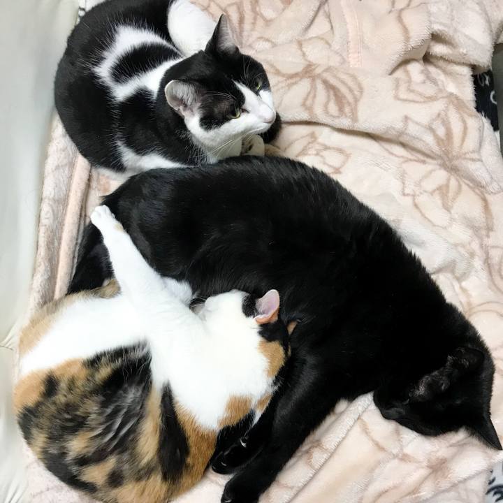 B0771ddb 545c 4bfb 9cd8 93e962da211c 1516544921052