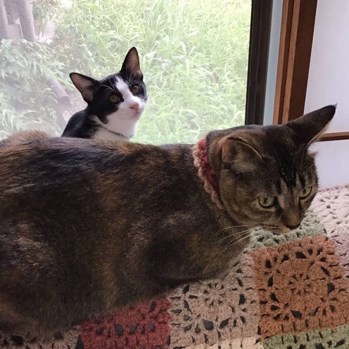 B0773117 beca 4137 8715 c306ead96058 1631787777214