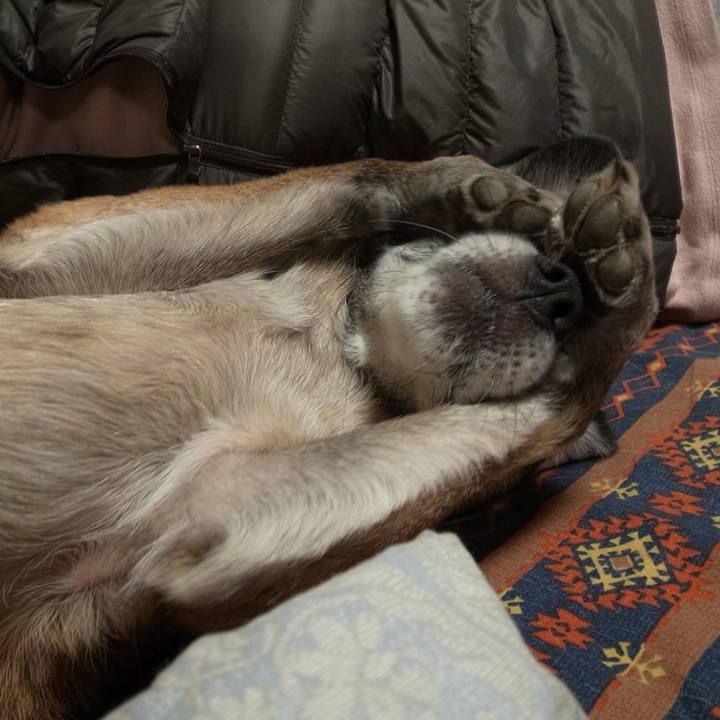 B07735b5 d515 47b1 ac9f da58f926dd45 1583539027880