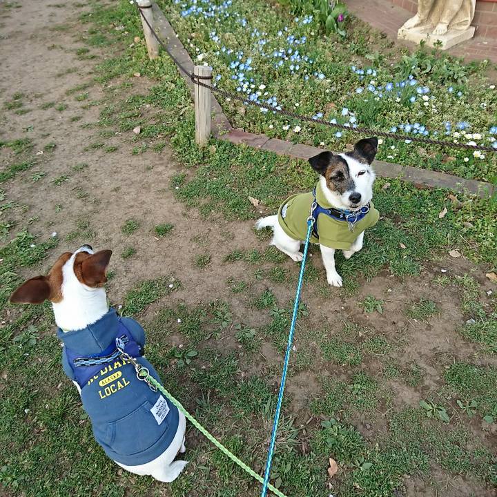 B0775a0e 9d02 4908 93d5 80d8b2be0869 1586252132925