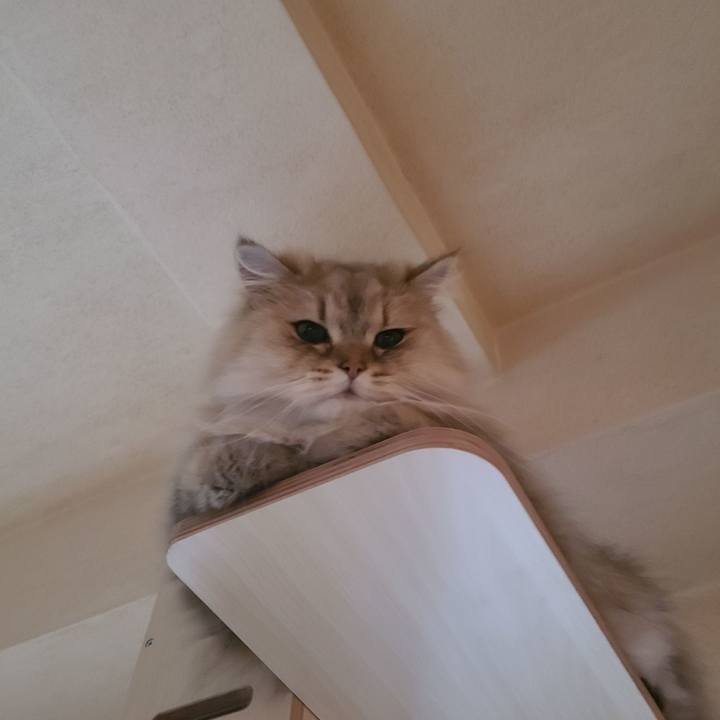 B0779a60 9760 4178 8f57 69308e56bed4 1653297905299