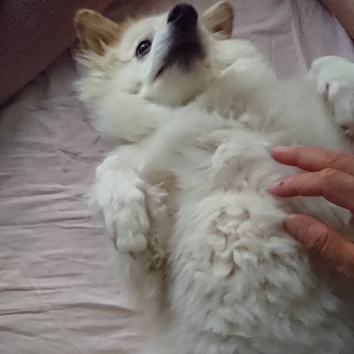 B077a5fa fc55 49d9 9a70 fdbe65fa3abc 1537652162979