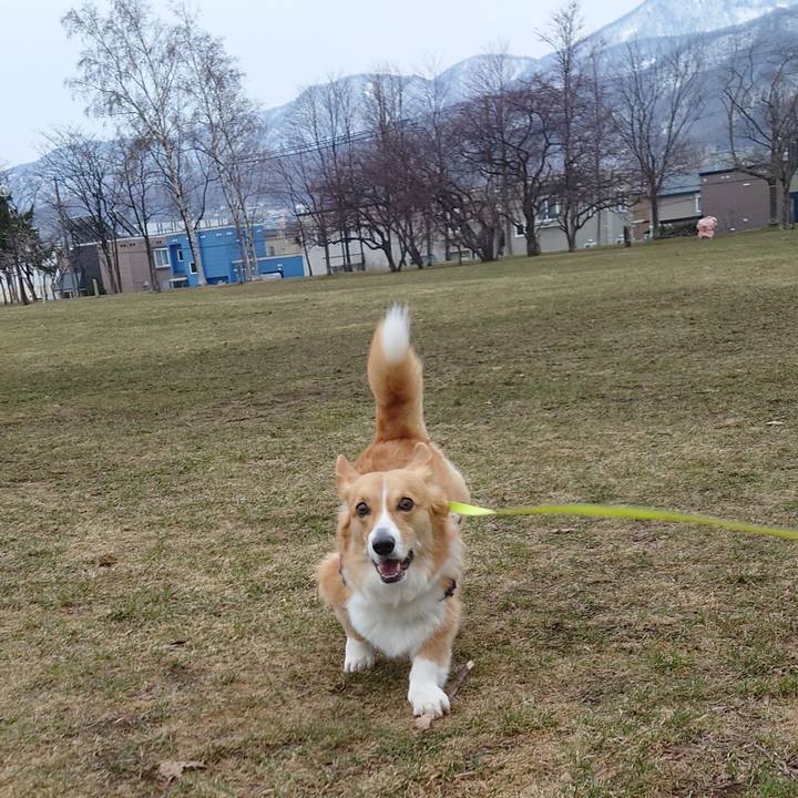 B077a8b9 aa86 4d44 b2a9 9cda0acf3079 1775087351435