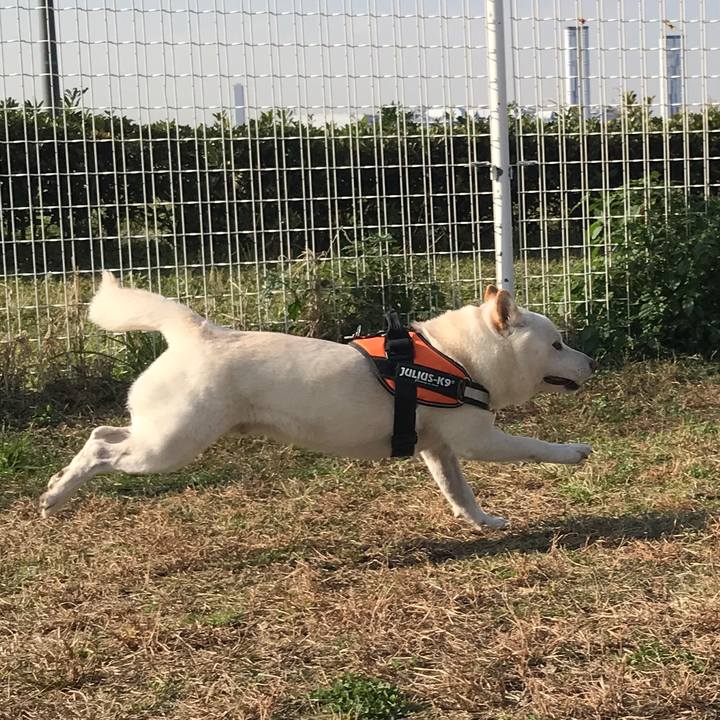 B077b1ae 8359 40da b474 7f540f76a0ed 1541913758406