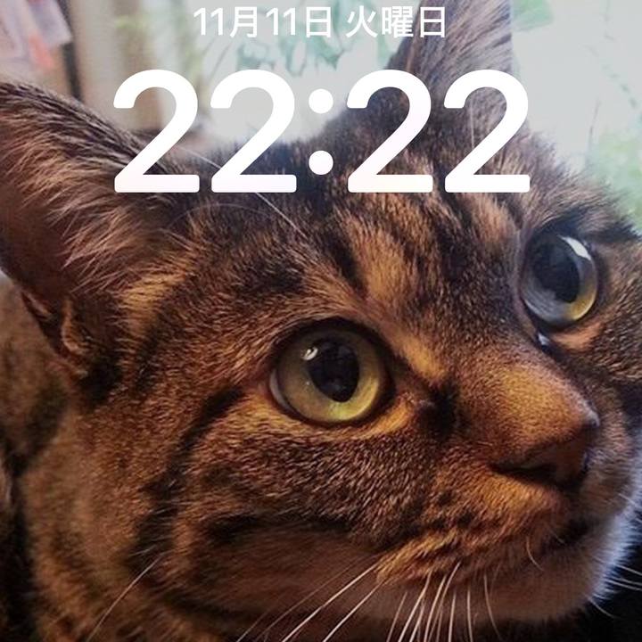 B077ba17 bed0 4dcd 94db 9446a572d1b9 1762990087178