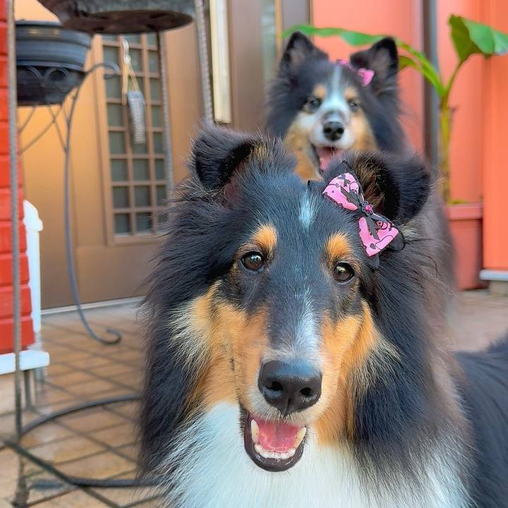 B077c3ed 0077 46ce 895f 4164a821352d 1757107419748