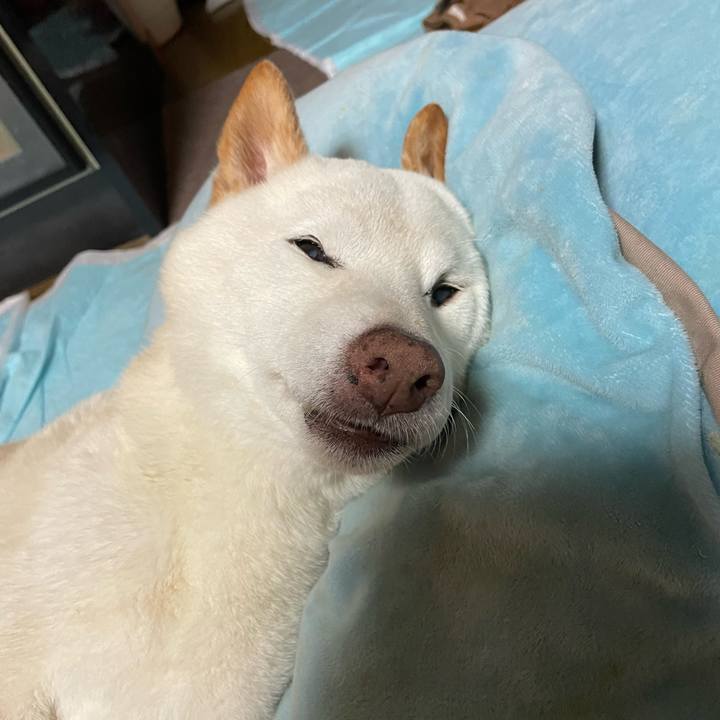 B077e93c dbf6 49a0 830f a686ea435d0d 1655473094745