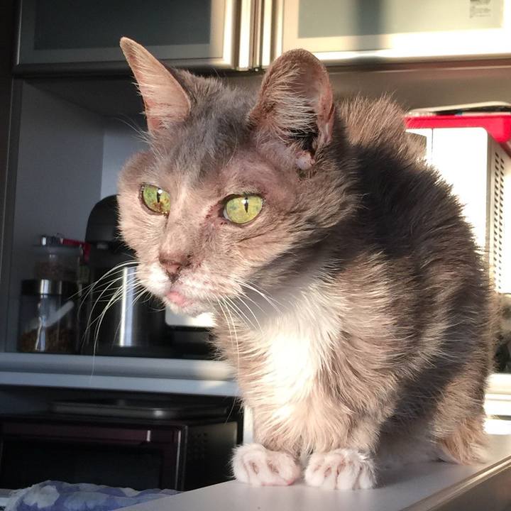 B077ef77 2d85 41ee a2cd 91be02ffe727 1523783646405