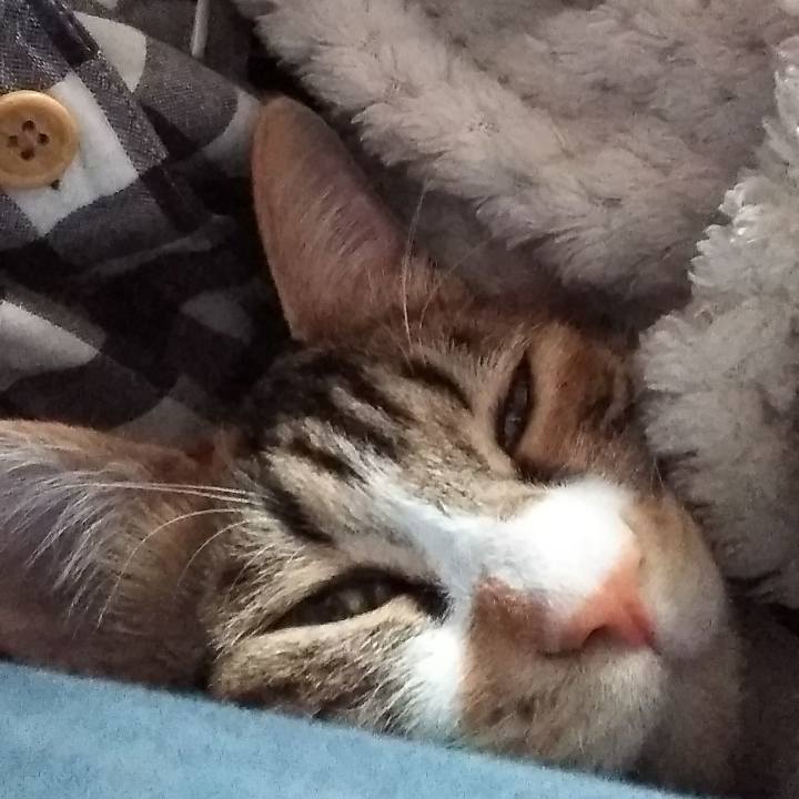 B07808b9 153b 4645 a4d4 d43e7e9ad065 1684887342512