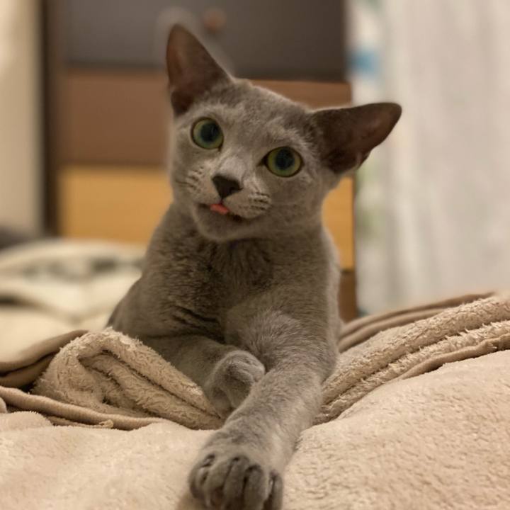 B0780e72 47c9 498c a9eb b20191dfe83b 1603973236627