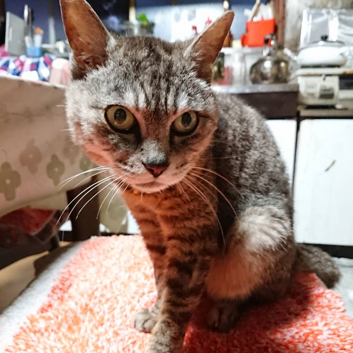 B0781386 510b 404d 9d0d e059e3d84f94 1563877592008