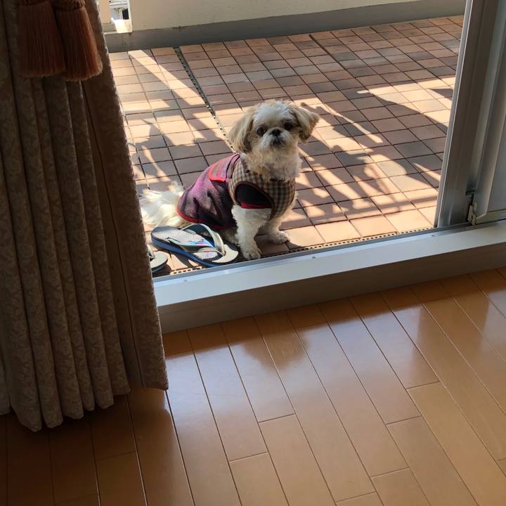 B0781671 aedc 4b9c b883 b9ddbea7fc5b 1523483430359