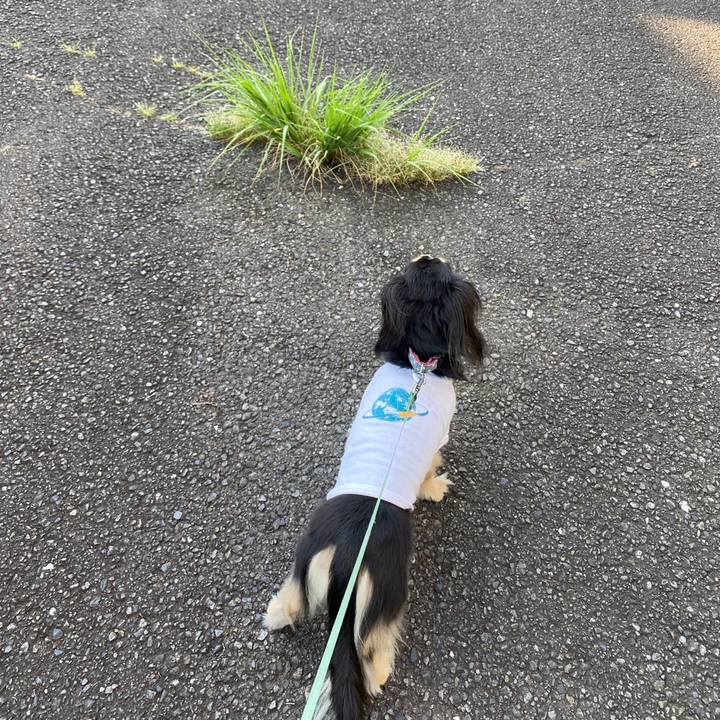 B0782d59 8a16 483b 9adb 0dd1a29e915a 1751341245452