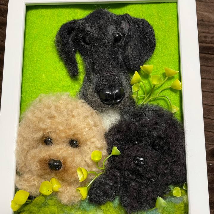 B07875ad 5274 4307 91c8 808f506e08a4 1612431259913