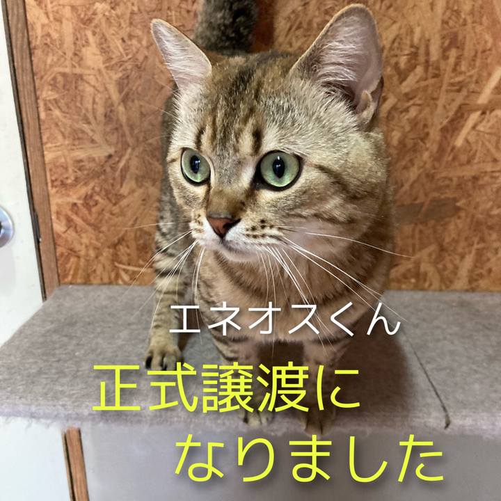 B0788f0c e55f 4687 9523 a702fcf84c57 1627642187290