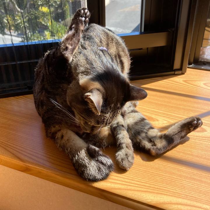 B07890ca 0bb7 4b9a af07 b1f74bec739b 1614136888266