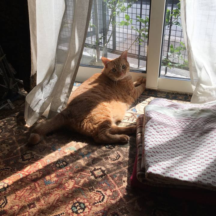 B0789886 726b 4be2 9cc3 cc11526f9ec3 1585955819385