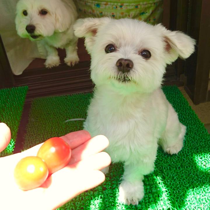 B078dccb d8c5 42ea 8c9b b93410a78ead 1525590450071