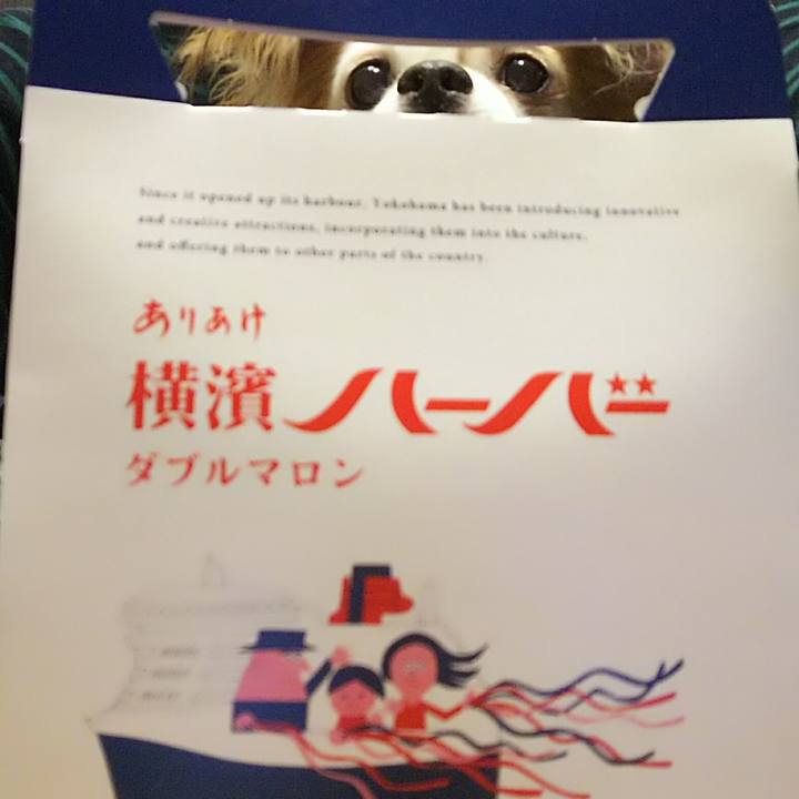 B078e6e1 c513 4703 bba7 04ff5928bae8 1516709569438