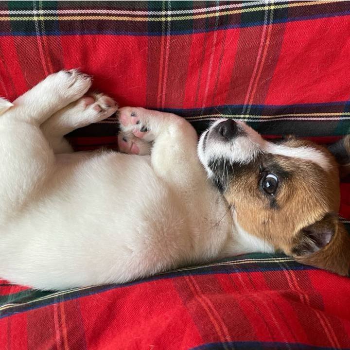 B078f8e3 1705 4ccd b7c4 f4b25736e003 1773544200878