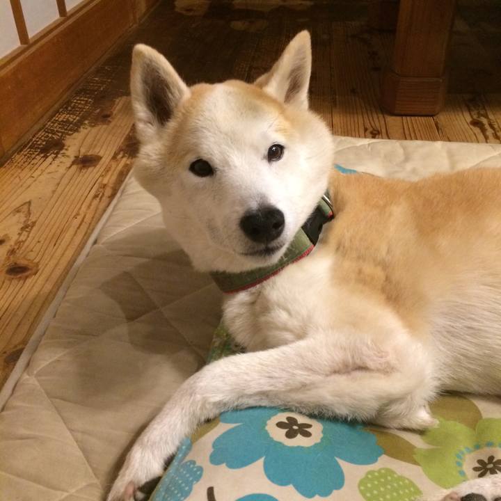 B0791e93 3238 4d9a 96f1 a890f15015a0 1567953311654