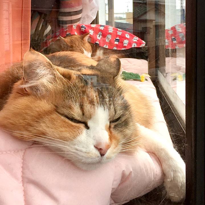 B07934d7 91eb 46ee b39e 8ed22a70300d 1582787601127