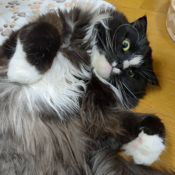 B079640b 67bb 45be 940f 6d6abcba0c99 1708689397948