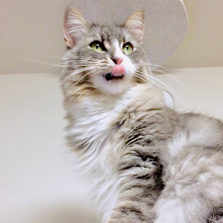 B07995e0 5952 4a48 9207 453c82438143 1559065877303