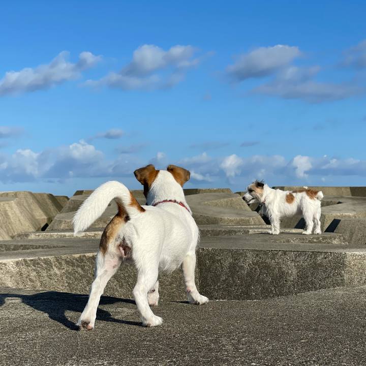 B0799cef cb95 40de 9e9f de9dc417106b 1633218491713