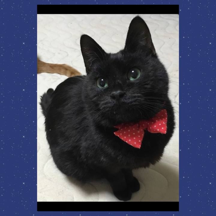 B079b13d 2f32 4f34 9393 2f95d27543aa 1746280443918