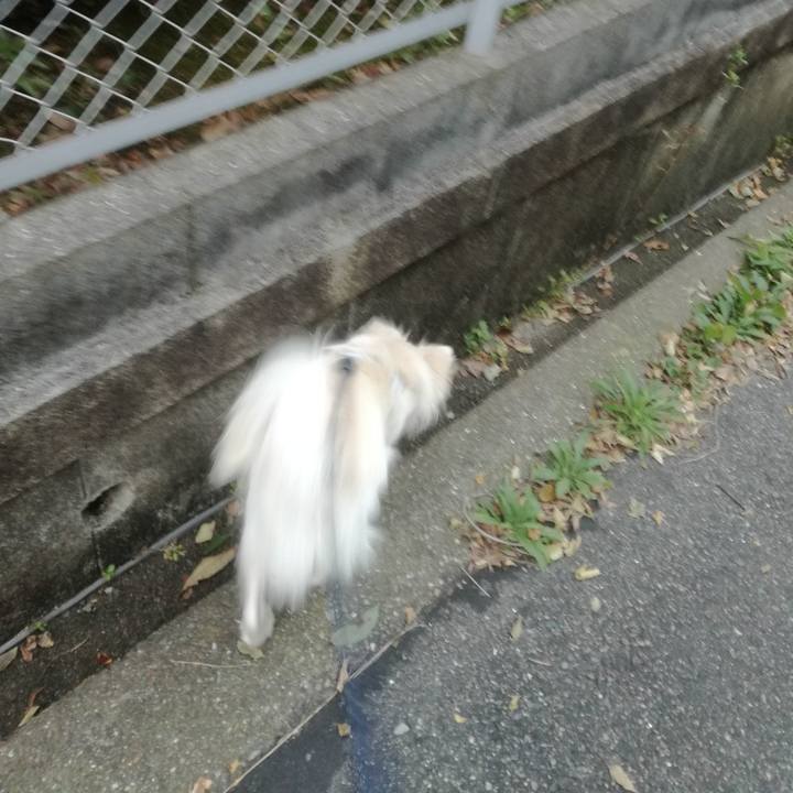 B079ebd2 792d 4098 9757 382b08d22295 1509534273643