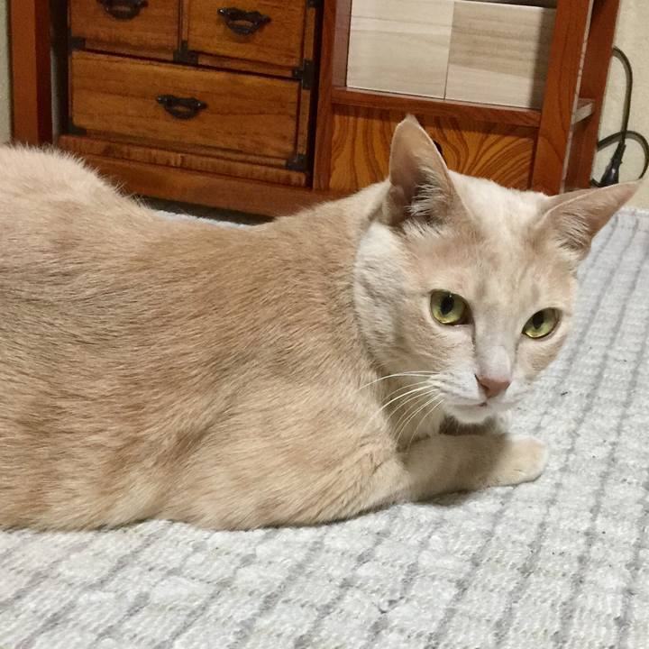 B079f410 2dd1 4579 ad0a 41fa48d9d572 1517314854520